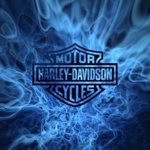 Meet your Posher, Rick